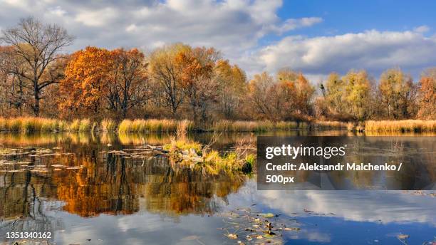 scenic view of lake by trees against sky during autumn,ukraine - aleksandr malchenko pictures and images stockfoto's en -beelden