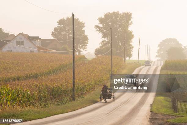 ein amish-mann auf einem buggy - lancaster stock-fotos und bilder