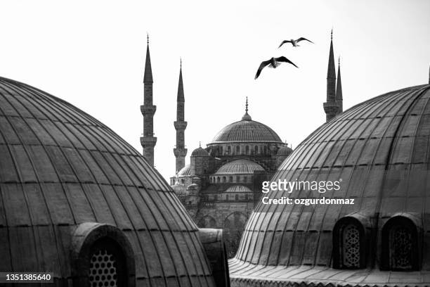 parte della basilica di santa sofia e della moschea blu di istanbul, turchia - islam foto e immagini stock