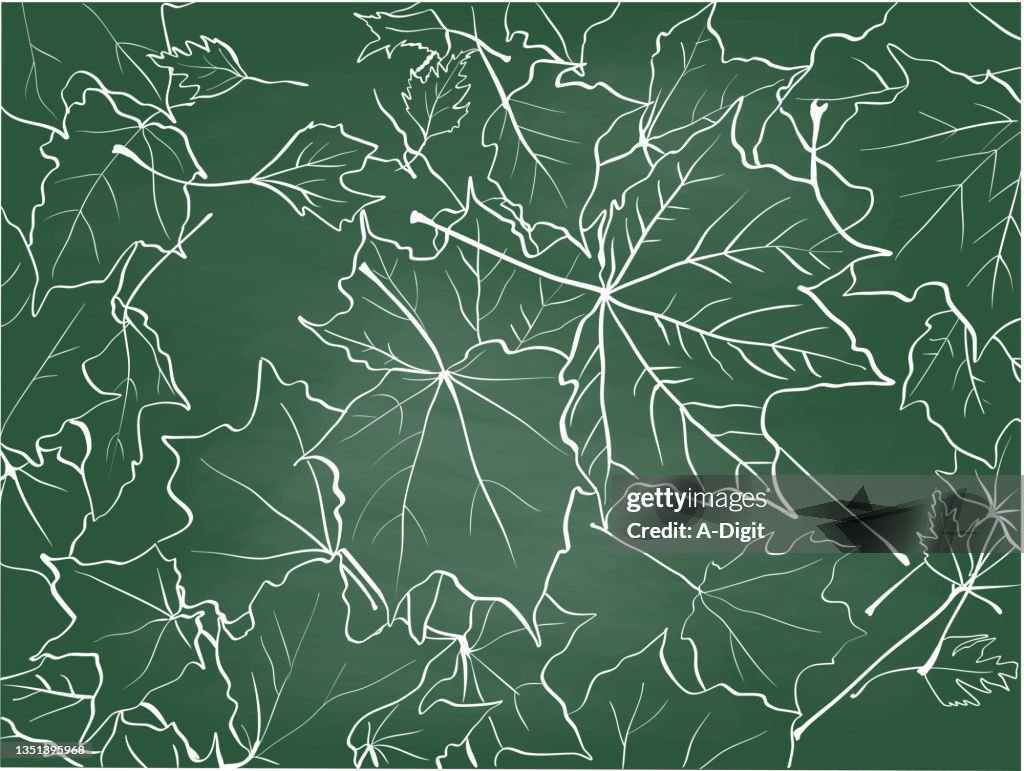Maple Leaves On The Ground Chalkboard
