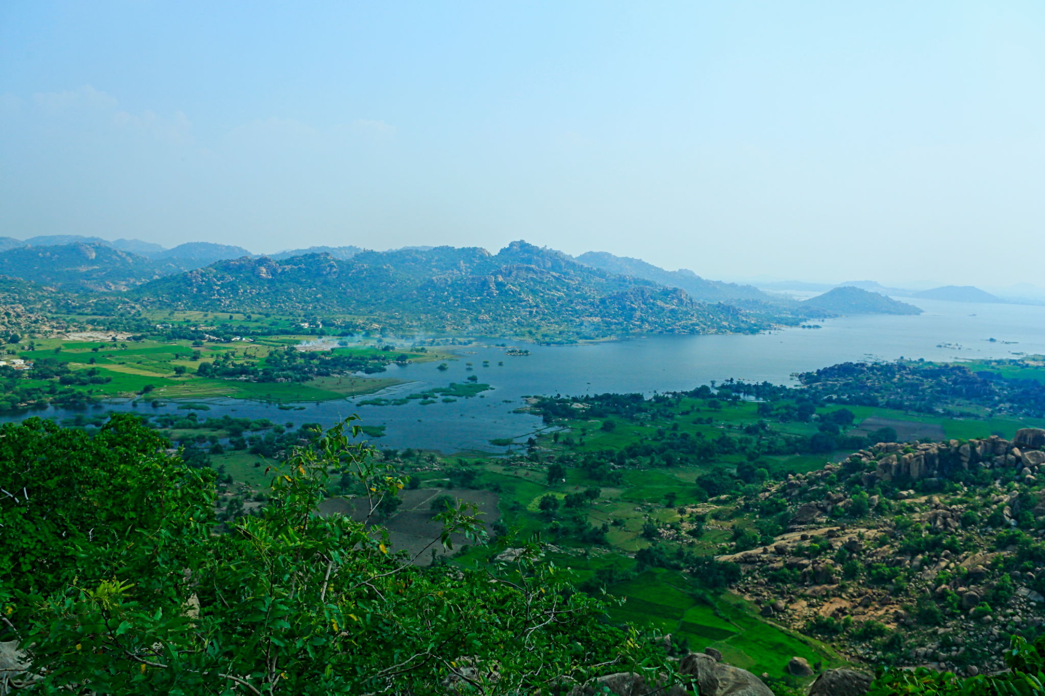 telangana digital landscape
