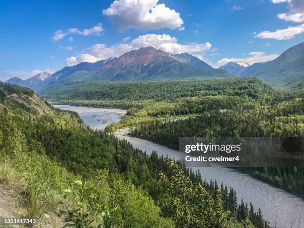 matanuska river with chugach mountain - national forest stock pictures, royalty-free photos & images