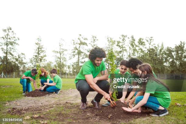 multiracial volunteers planting in public park - nationale-boomfeestdag stockfoto's en -beelden