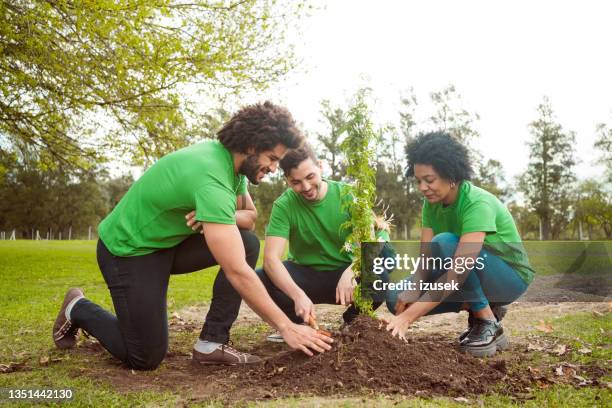 multirassische freiwillige pflanzen im öffentlichen park - planting stock-fotos und bilder