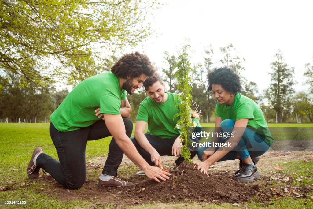 Voluntarios multirraciales plantando en parque público