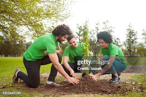 Voluntários multirraciais plantio em parque público Voluntários multirraciais plantio em parque público