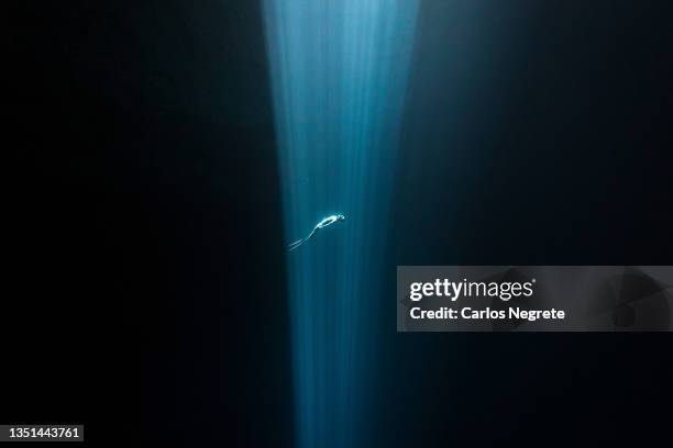 inside the light - free diving stock pictures, royalty-free photos & images