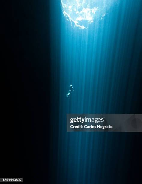 freediving in a special cenote - water glide stockfoto's en -beelden