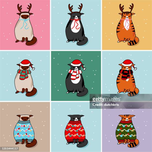 christmas cat set - shawl stock illustrations