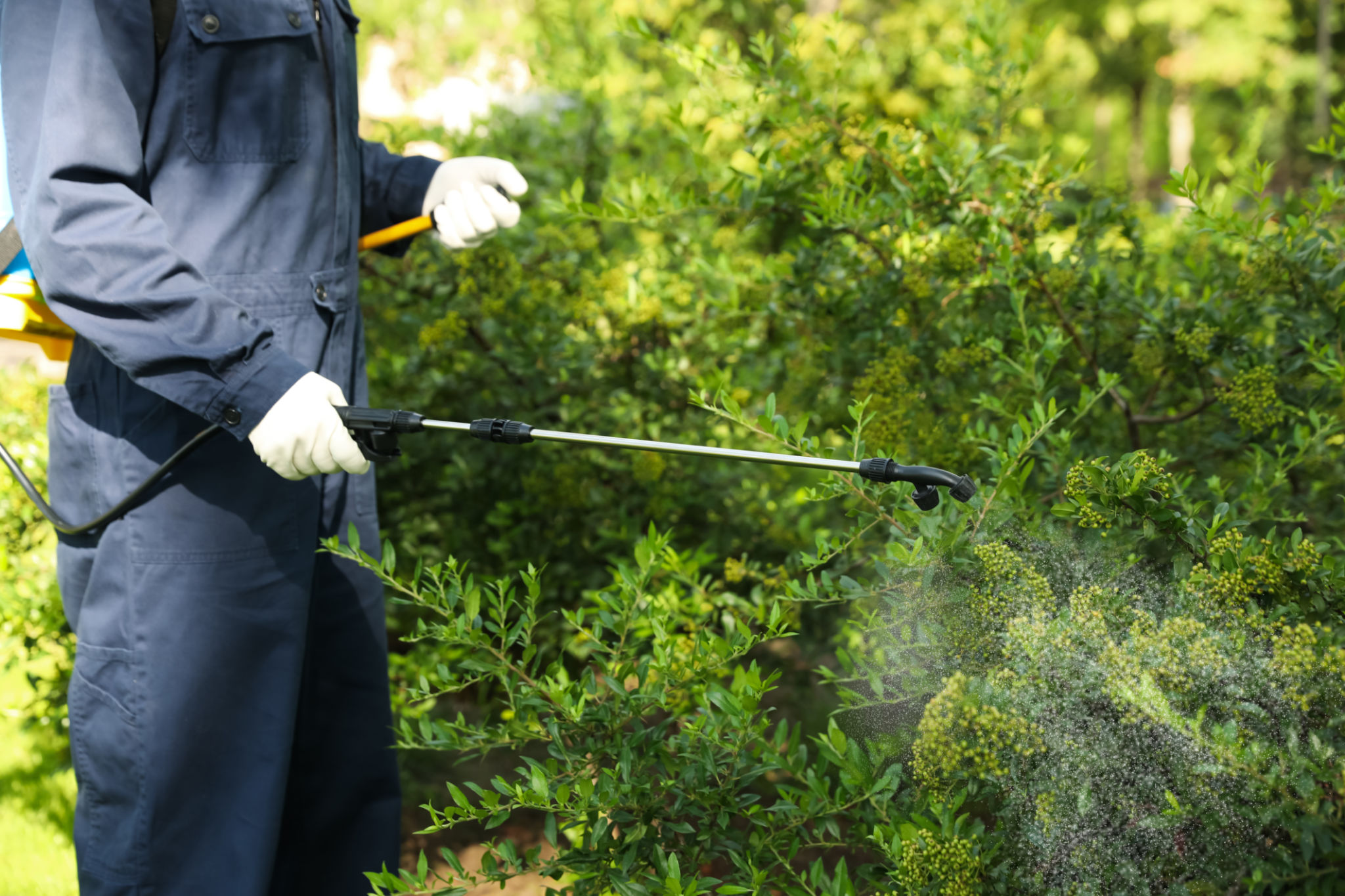 farm pest management