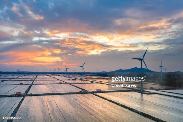 in the morning, next to the seaside farm, wind power generation - wind farms stockfoto's en -beelden