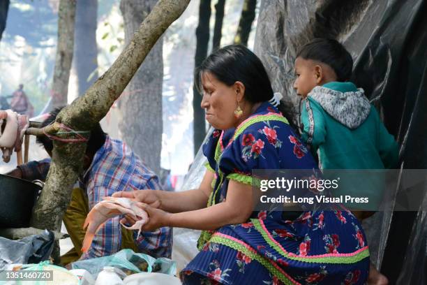 An indigenous woman cooks a fish on a makeshift stove during the almost 30 days of the takeover of Bogota's Parque Nacional by more than 800...