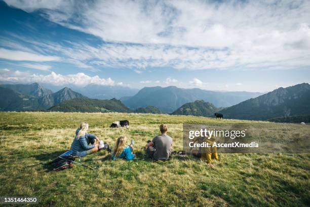 wanderfamilie entspannen auf grashang in der nähe von viehweide - schweizer berge stock-fotos und bilder