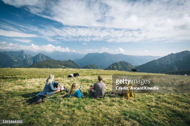 hiking family relax on grass slope near cattle pasture - swiss cow stock pictures, royalty-free photos & images