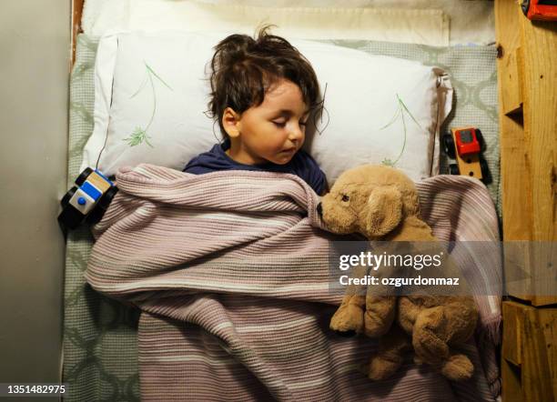 adorable little boy sleeping in bed with his toys at home, high angle view - leksakshund bildbanksfoton och bilder