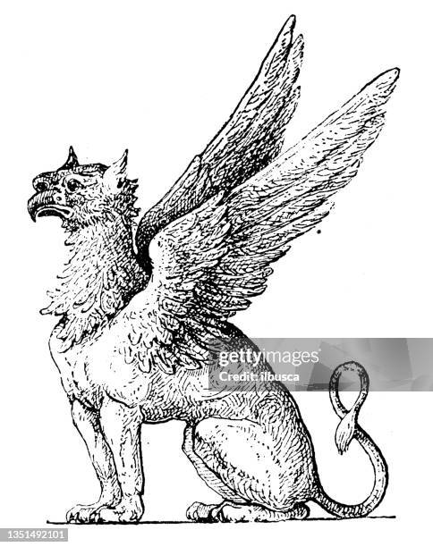 bildbanksillustrationer, clip art samt tecknat material och ikoner med antique illustration: gryphon (mythology) - grip
