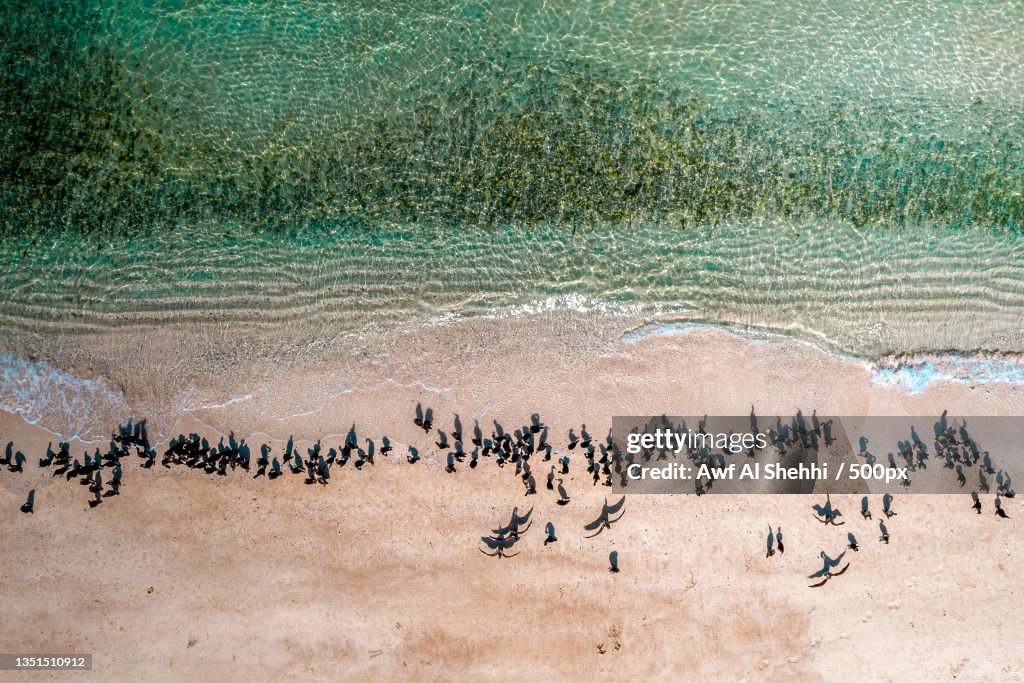 Aerial view of people on beach,Khasab,Oman