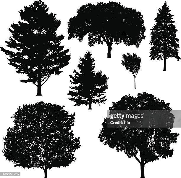 stockillustraties, clipart, cartoons en iconen met tree silhouettes - kleine boom