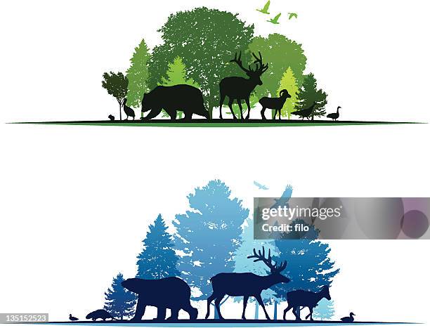 wildlife border elements - deciduous tree stock illustrations
