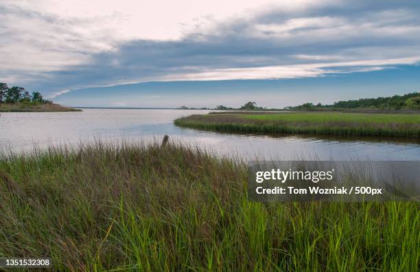 scenic view of lake against sky,apalachicola,florida,united states,usa - apalachicola florida stockfoto's en -beelden