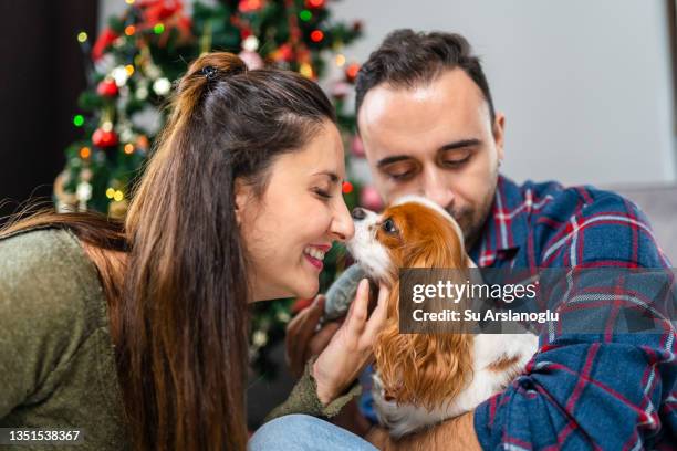 young couple celebrating new year's eve with their dog at home in front of a pine tree - christmas puppy stock pictures, royalty-free photos & images