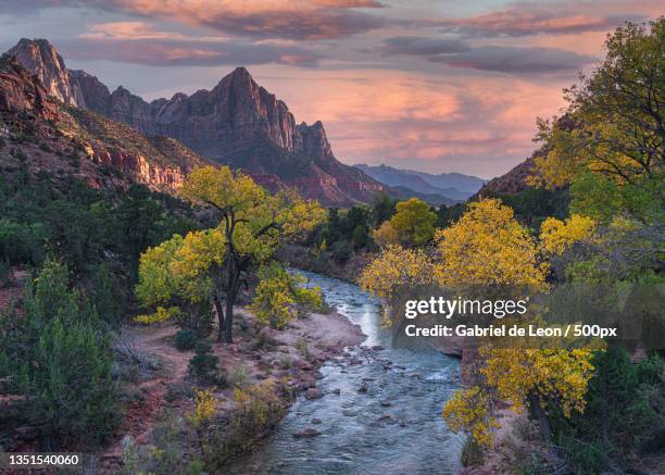 scenic view of mountains against sky during sunset,zion national park,utah,united states,usa - zion national park stock-fotos und bilder