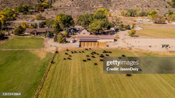1,888 Nevada Ranch Stock Photos, High-Res Pictures, and Images - Getty ...