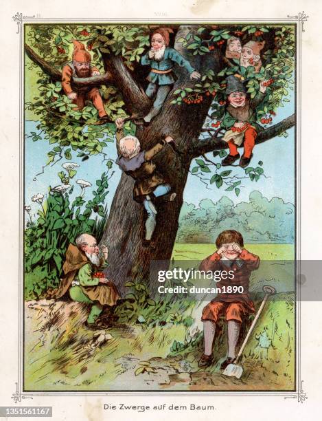 illustrazioni stock, clip art, cartoni animati e icone di tendenza di nani, gnomi che rubano frutta da un albero, folklore tedesco, vittoriano del 19 ° secolo. - tecnica illustrativa