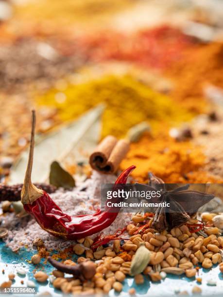 variété d’épices indiennes colorées, biologiques, séchées et vibrantes sur une vieille assiette en céramique de couleur turquoise. - indian spices photos et images de collection