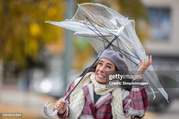 woman looks terrified up at her umbrella being torn by a strong autumn wind in bad weather. - storm bildbanksfoton och bilder