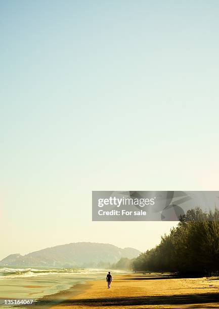 Person Walking Alone On Beach, Foto de stock