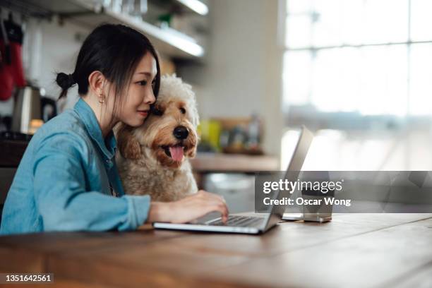 young woman working from home with her dog - pets ストックフォトと画像