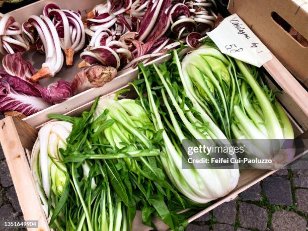 puntarelle and radicchio vegetable at street market - chicory stock pictures, royalty-free photos & images