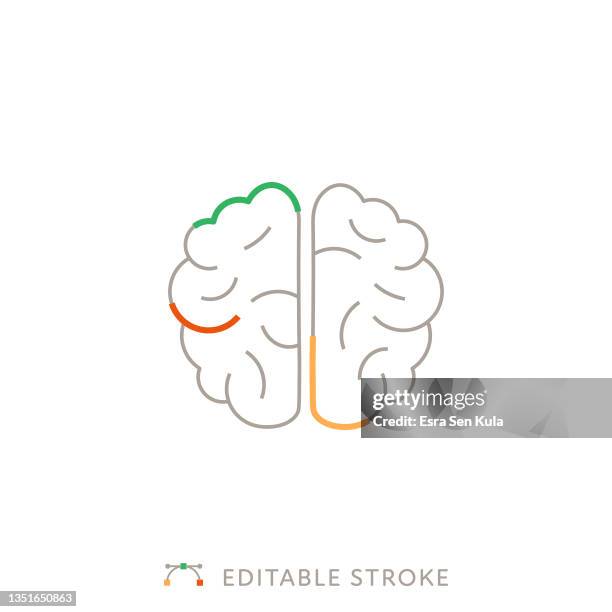 brain multicolor line icon with editable stroke - functional magnetic resonance imaging brain stock illustrations