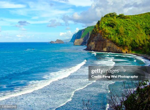 pololu valley in big island, hawaii - big island insel hawaii stock-fotos und bilder