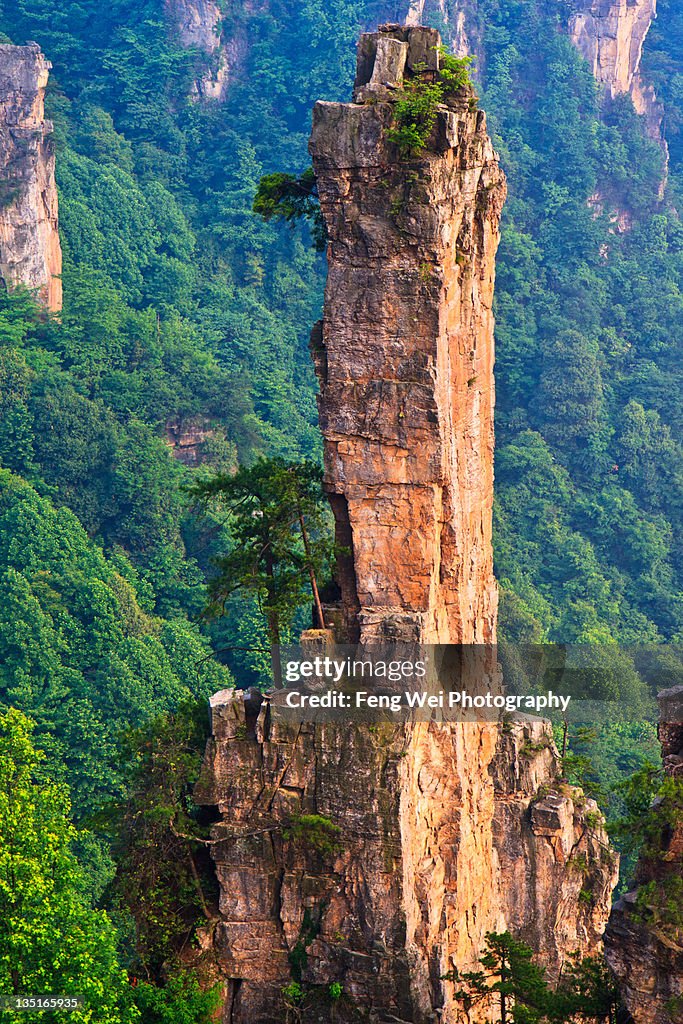 Floating Rocks China Towering Stone Pillar At Zhangjiajie China High-Res Stock Photo - Getty ...