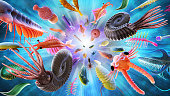 Cambrian explosion or Cambrian radiation