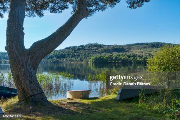 Kin Loch Ard 89 Kinlochard Stock Photos, High-Res Pictures, and Images - Getty Images