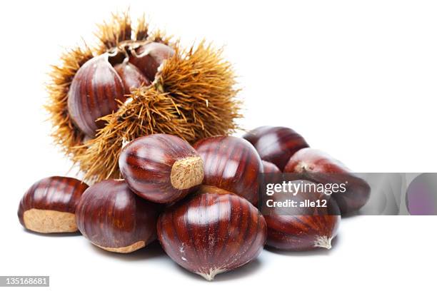 chestnut on white - chestnuts stock pictures, royalty-free photos & images