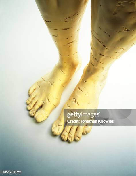 Toe Cheese Hole Toe Photos and Premium High Res Pictures - Getty Images