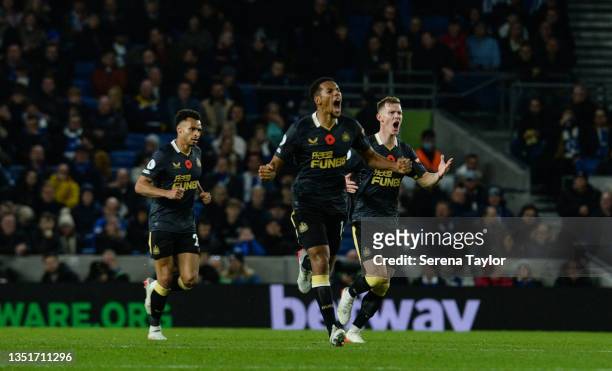 Isaac Hayden of Newcastle United FC celebrates after scoring the equalising goal during the Premier League match between Brighton & Hove Albion and...