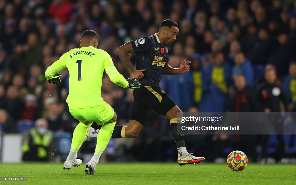 Brighton & Hove Albion v Newcastle United - Premier League