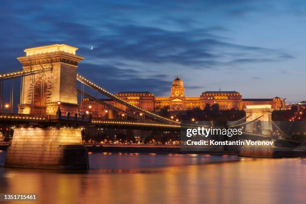 night view of budapest chain bridge and  royal palace on castle hill - chain bridge suspension bridge stock pictures, royalty-free photos & images