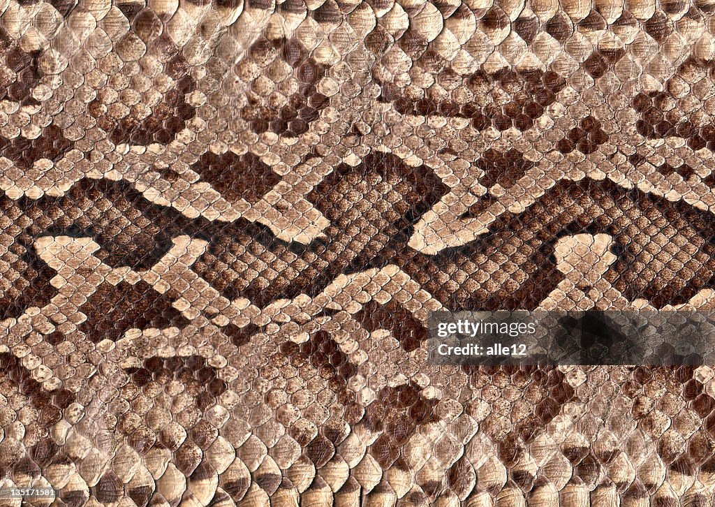 Snakeskin