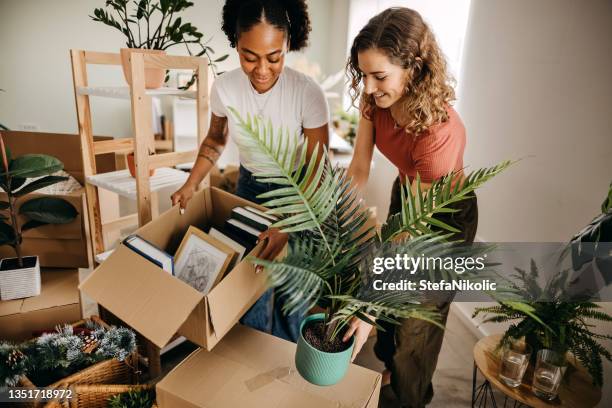 notre maison sera pleine d’amour et de bonheur - déballer ses cartons photos et images de collection