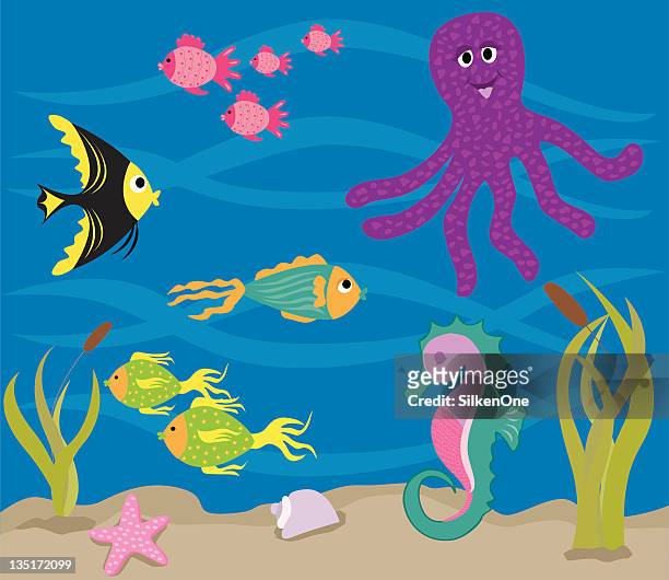 under the sea - angelfish stock illustrations