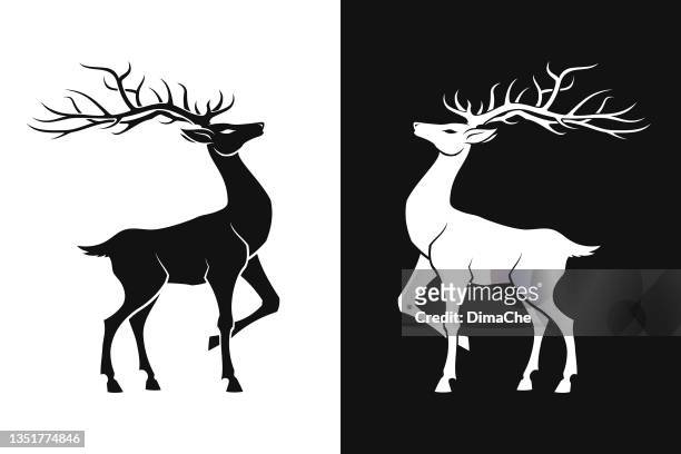 hirsch silhouette - animals in the wild stock-grafiken, -clipart, -cartoons und -symbole