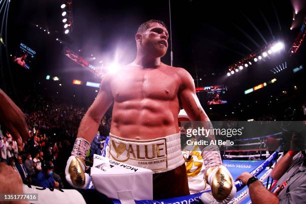 Canelo Alvarez celebrates his 11th round technical knock out win against Caleb Plant after their championship bout for Alvarez's WBC, WBO and WBA...