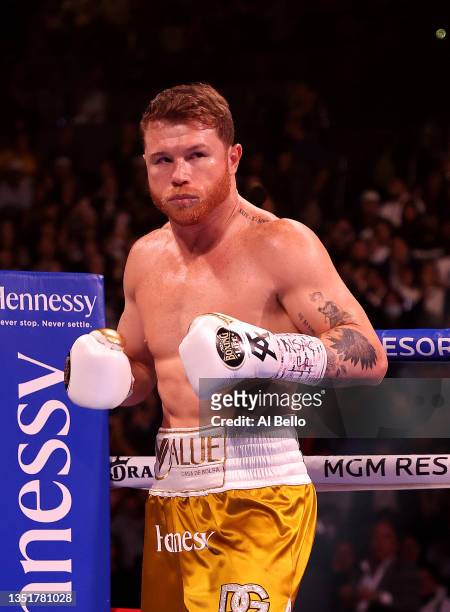 Canelo Alvarez stands in the corner of the ring against Caleb Plant during his championship bout for Alvarez's WBC, WBO and WBA super middleweight...