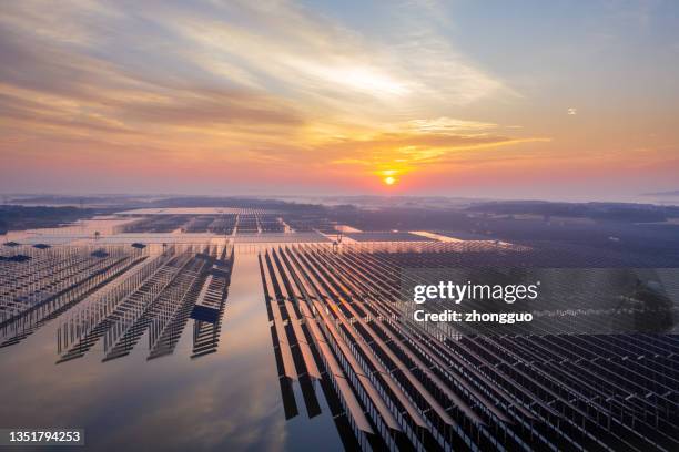 pool and solar power station - renewable energy battery stock pictures, royalty-free photos & images